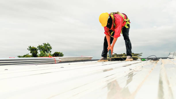 Commercial Roofing Services in South Chicago Heights, IL